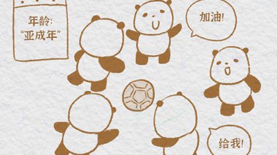 熊貓“漫”科普：大熊貓的成長日記